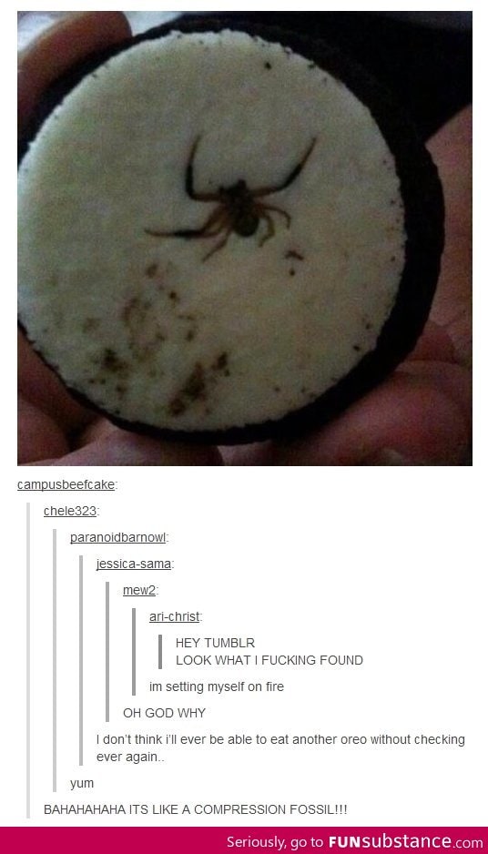 Fossil Oreo