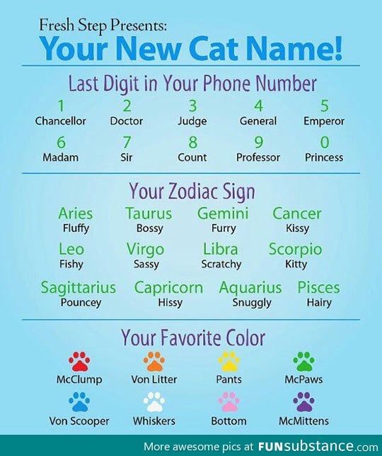 Your new cat name