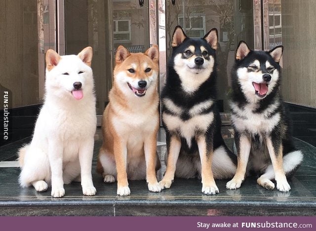 shoobers do a hapy