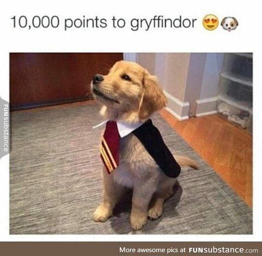 I'm Slytherin, but I'll give this to them