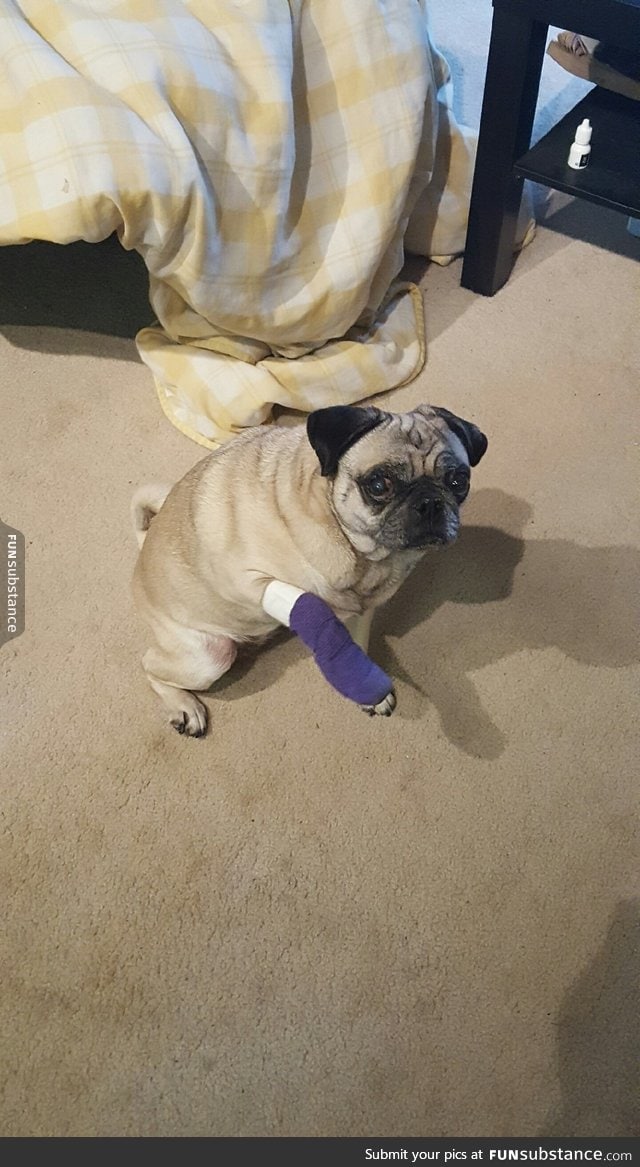 pugger has a pain :( get wel soon puger