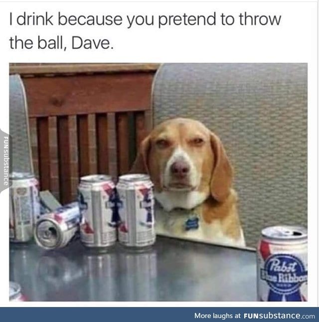 damn you dave