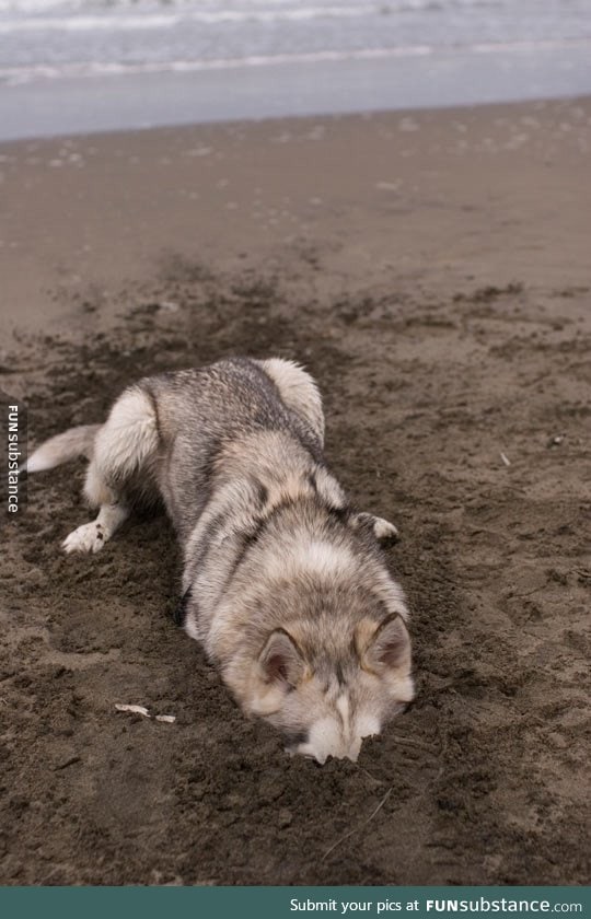 Found moon moon on the beach