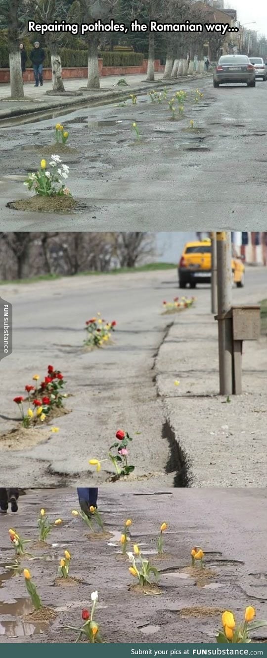 "A Garden In The Middle Of The Street"