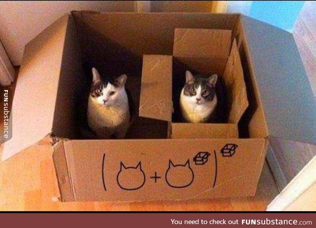 Cat math :)