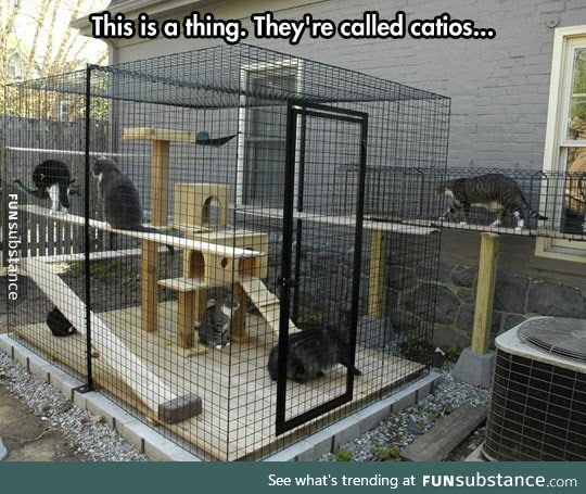 Catio in the backyard