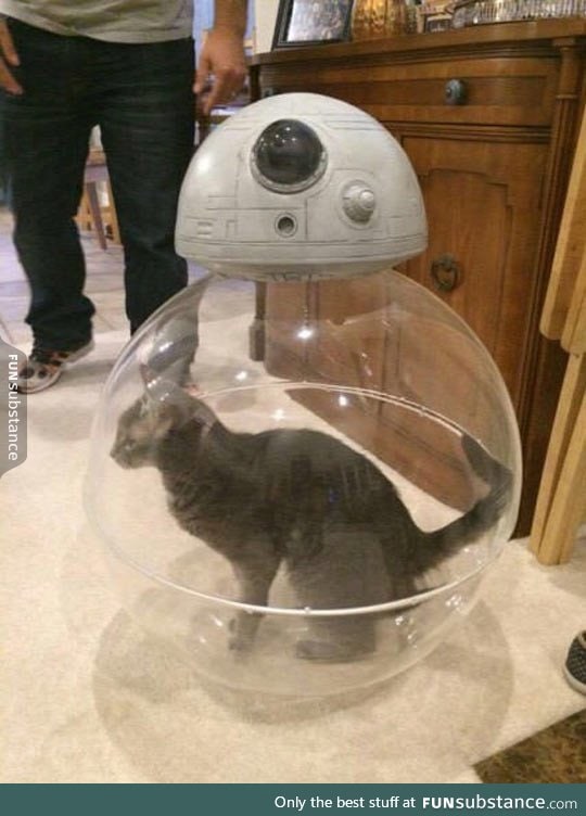 Inside BB-8