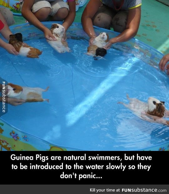 Natural swimmers