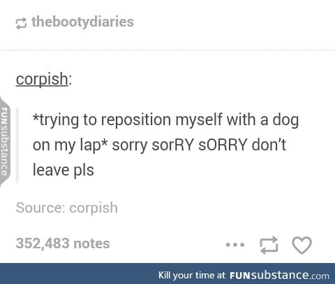 I'm sorry my doggo