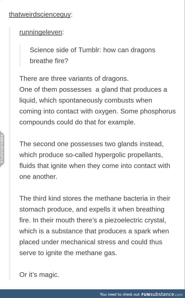 3 types of dragons