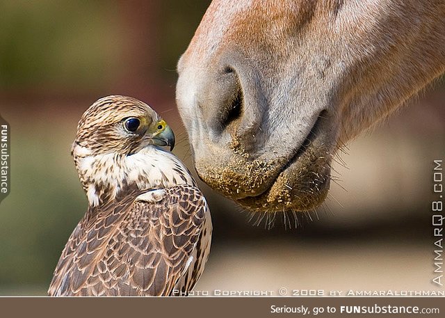 when your friend buys new perfume and you don't care about personal boundaries