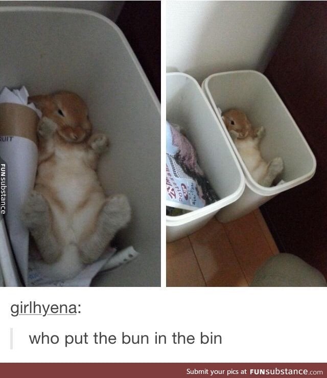 Well get the bun out of the bin