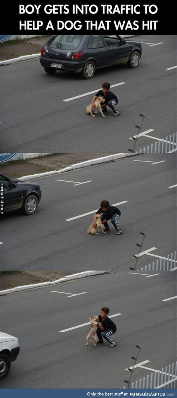 Saving a dog