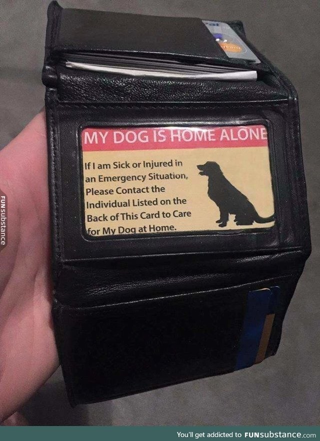 That's pretty awesome for dog owners