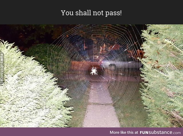 You shall not pass!