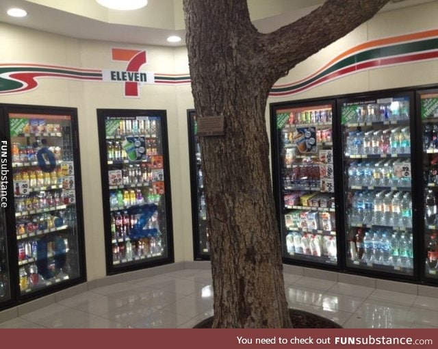 This 7-Eleven in Mexico has a tree in the middle of it