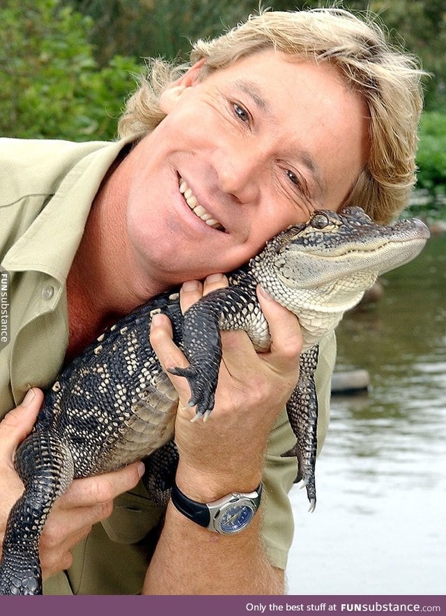 Steve Irwin, 1962-September 4, 2006. We miss you, mate.