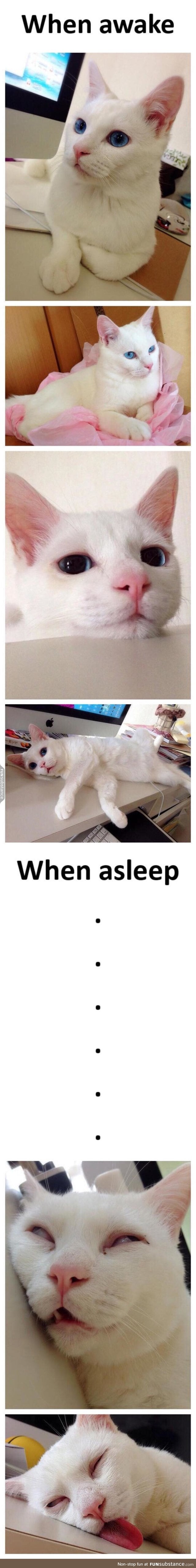 Awake vs asleep