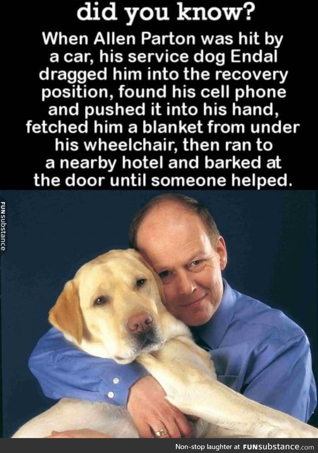 Truly, a man's best friend