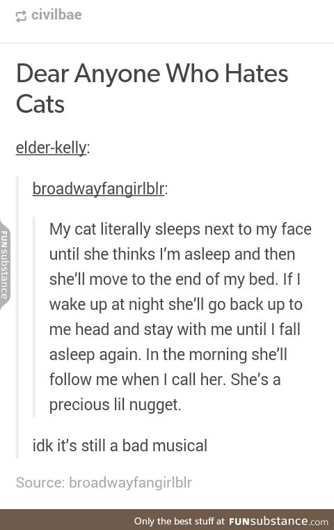 Cats are precious