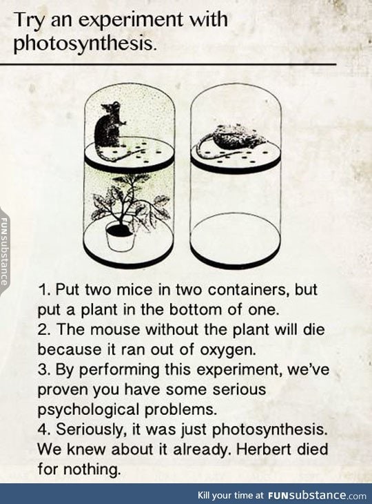 Experiment with photosynthesis