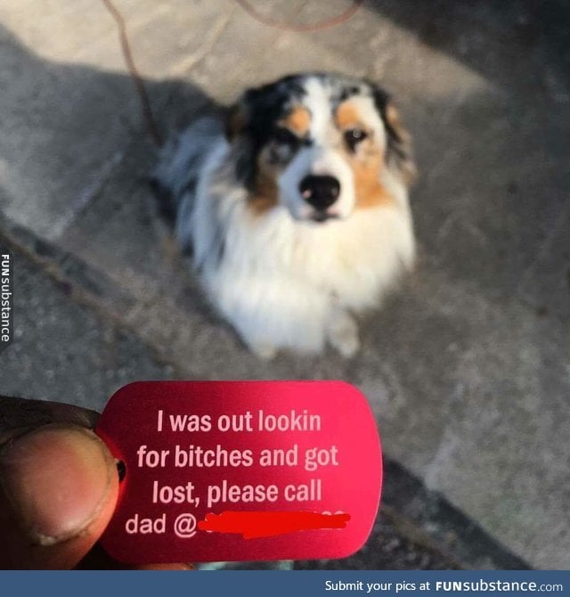 Puppers new tag