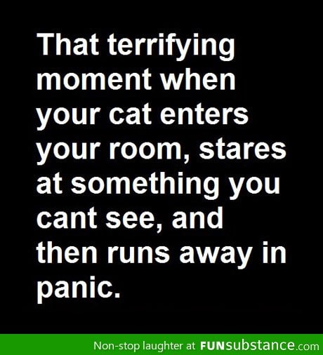 That terrifying moment