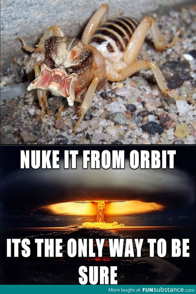 Kill It, Kill It With Nukes