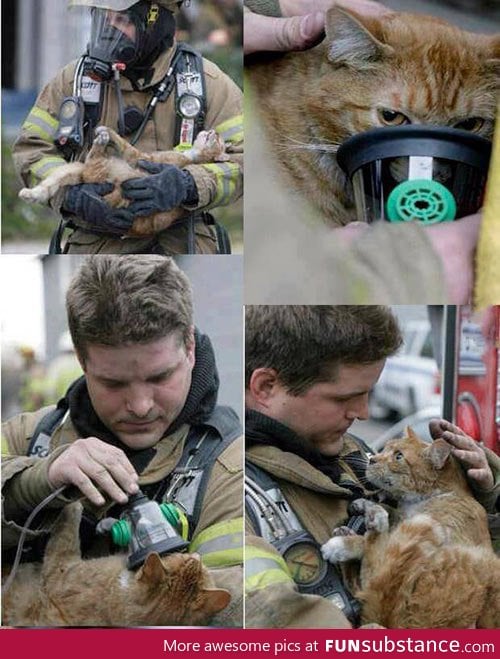 Firefighter saving a cat