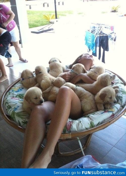 Puppy Blanket!