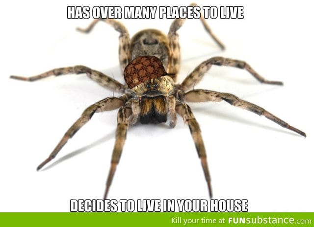 Scumbag Spider