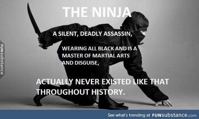 The ninja