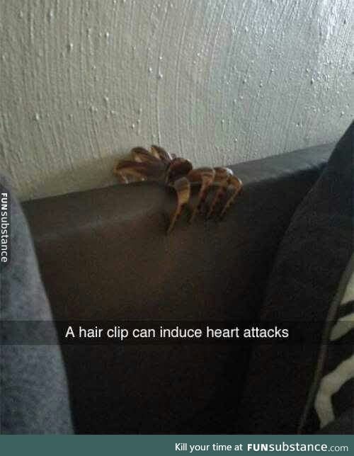 Hair clip horror