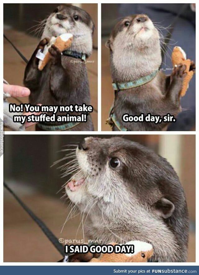 CAN YOU BELIEVE THIS OTTERf*ckER?