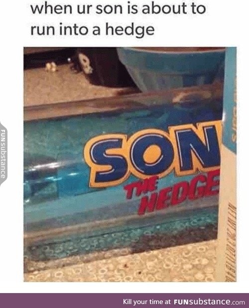 son the hedge