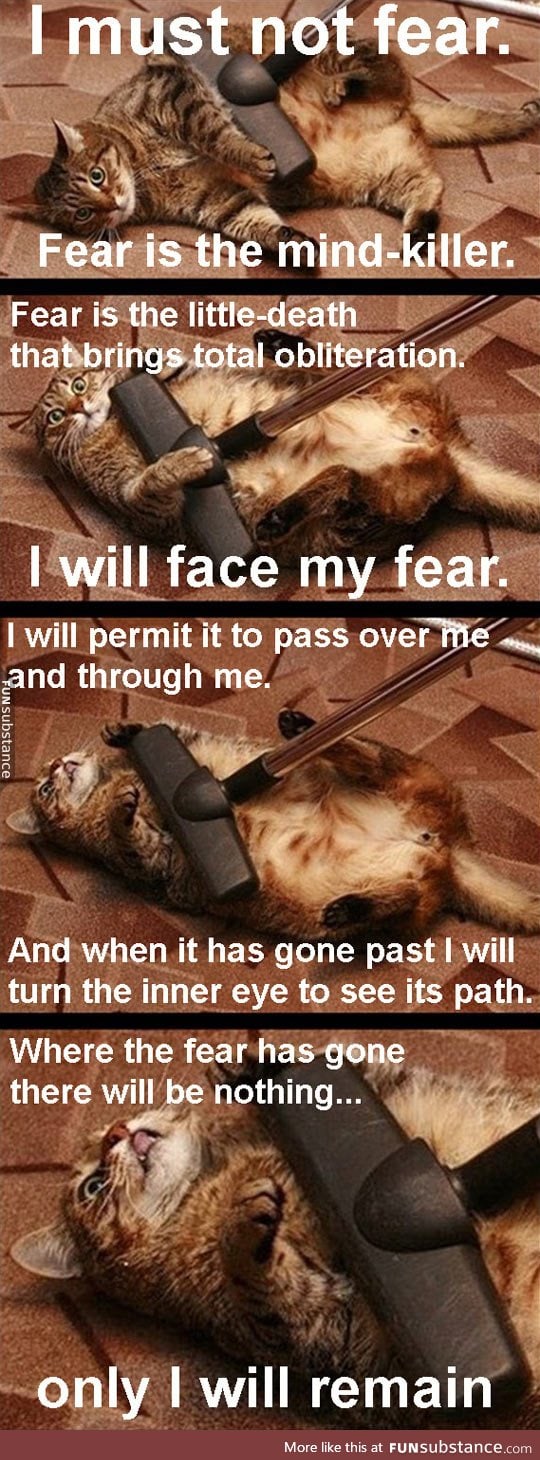 I will definitely face my fear