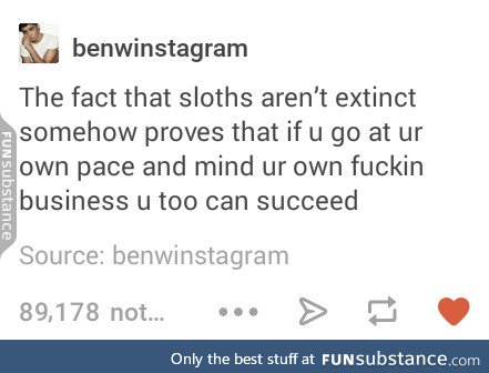 Sloths are alive and well