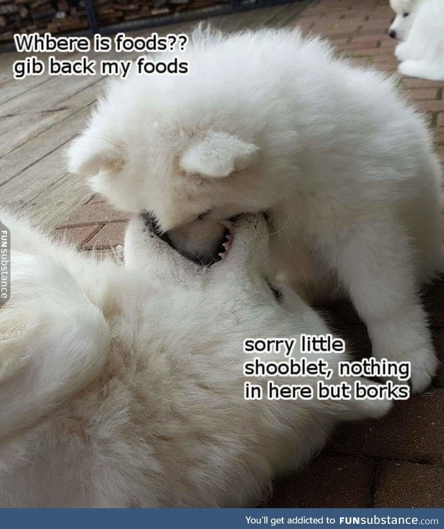 smol shoob wants his foods back