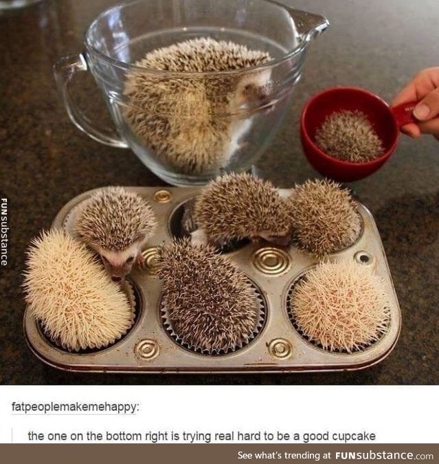 Hedgecakes