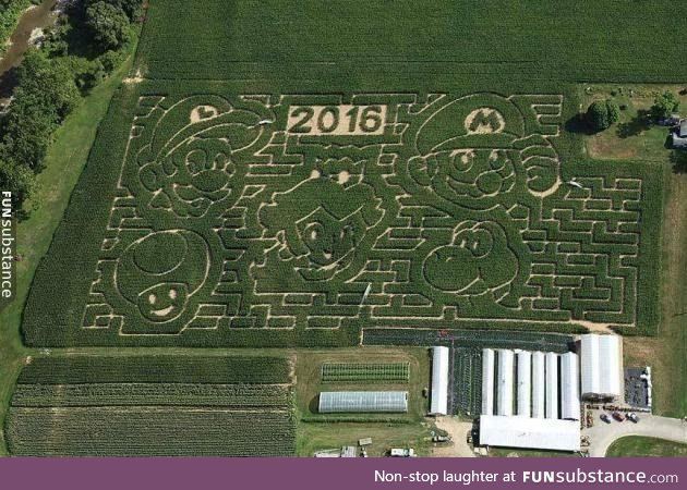 There’s a Super Mario-themed corn maze and I want to go