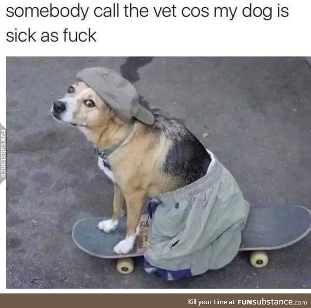 Help, somebody call the vet