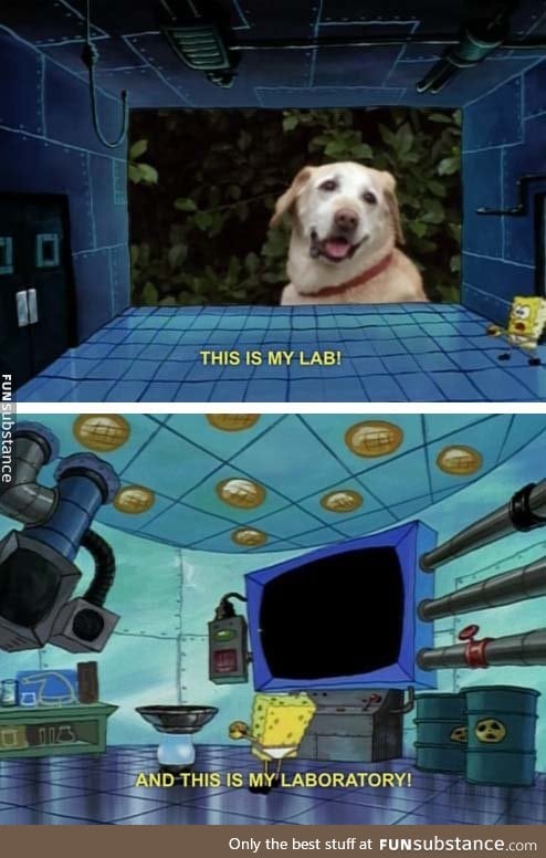 My Lab and my Laboratory