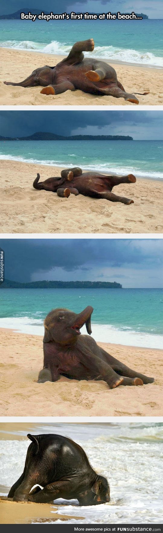 Little guy enjoying the sand