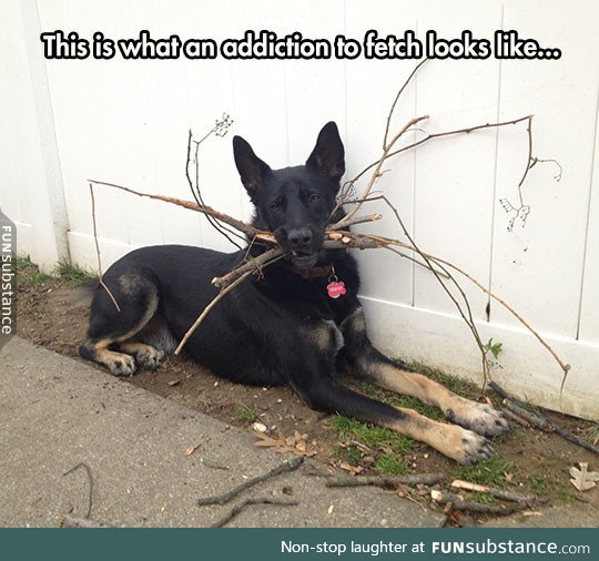 Addiction to fetch