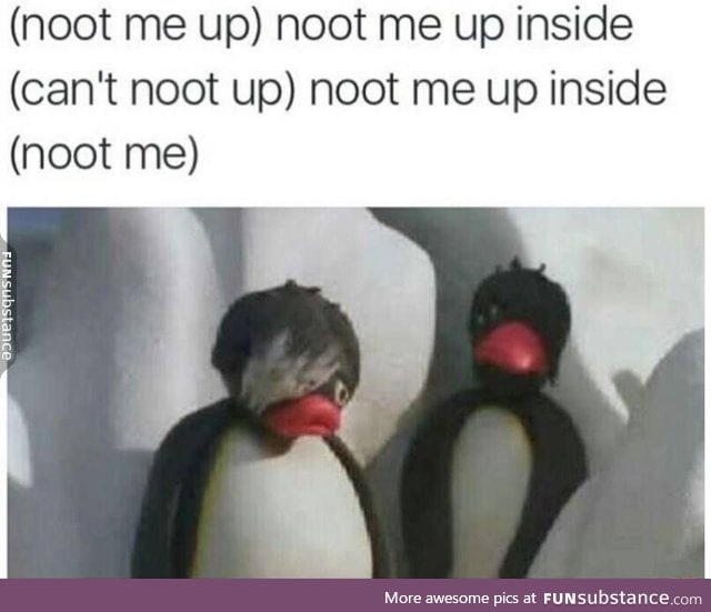 noot