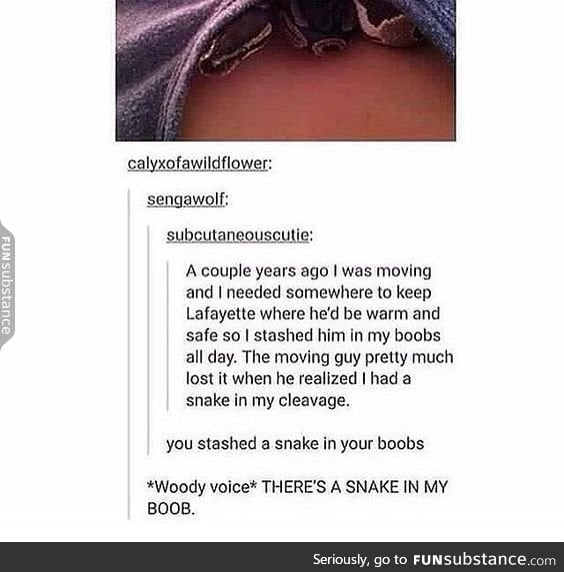 snakes are so cute