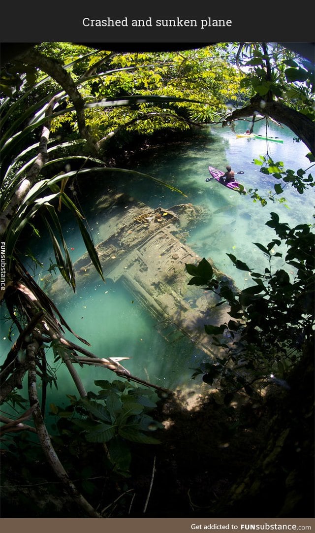 Crashed and sunken plane