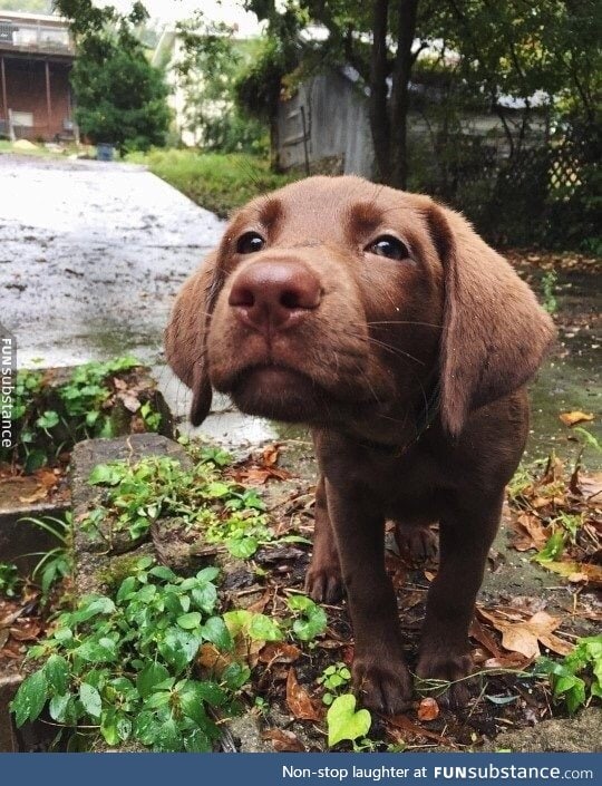 Taking in the smells