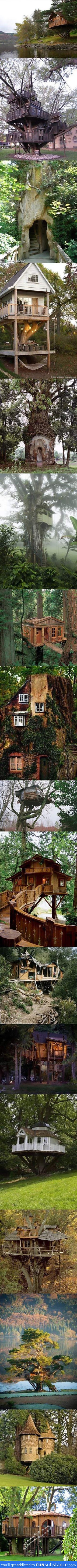 Grown up tree houses