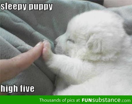 Sleepy high five